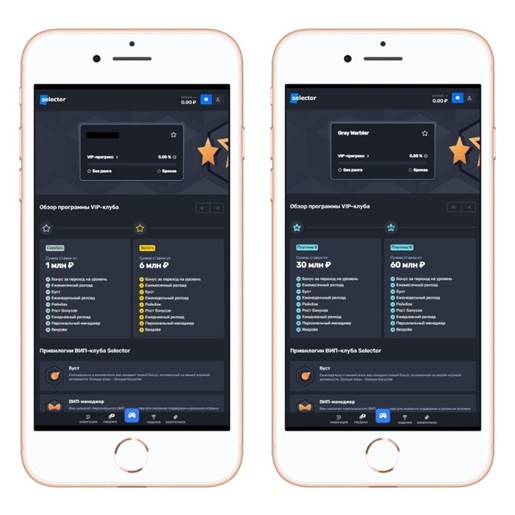 Программа лояльности