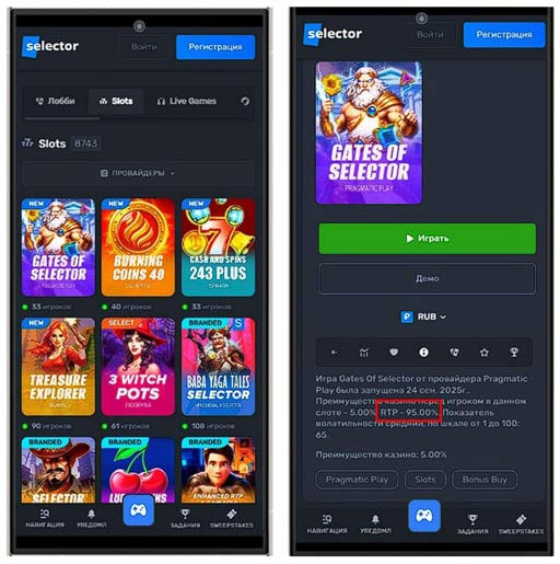 Отдача в топовом слоте в Selector Casino