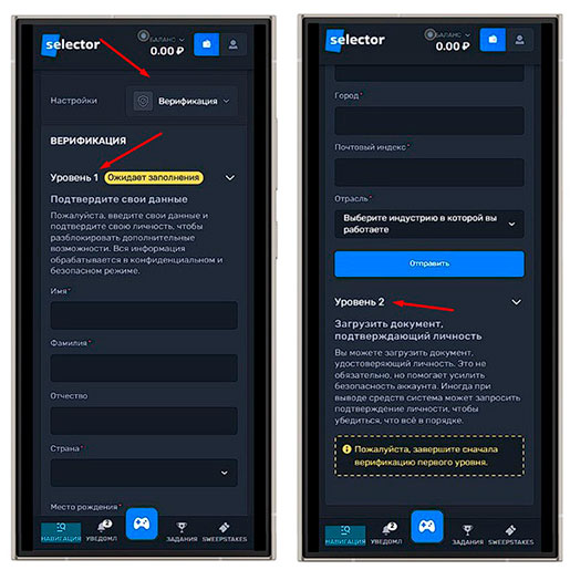 Верицикация